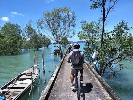 Fahrradtour Koh Yao Noi — 30 km durch Reisfelder